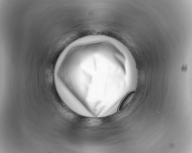 X0000090420719200708101942
