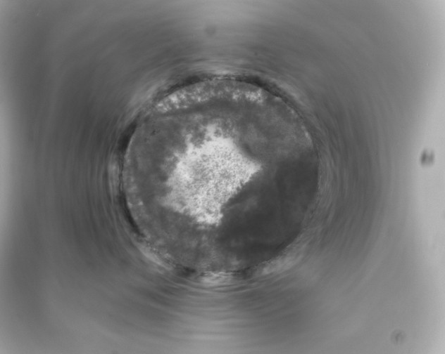 X0000090420720200708101942