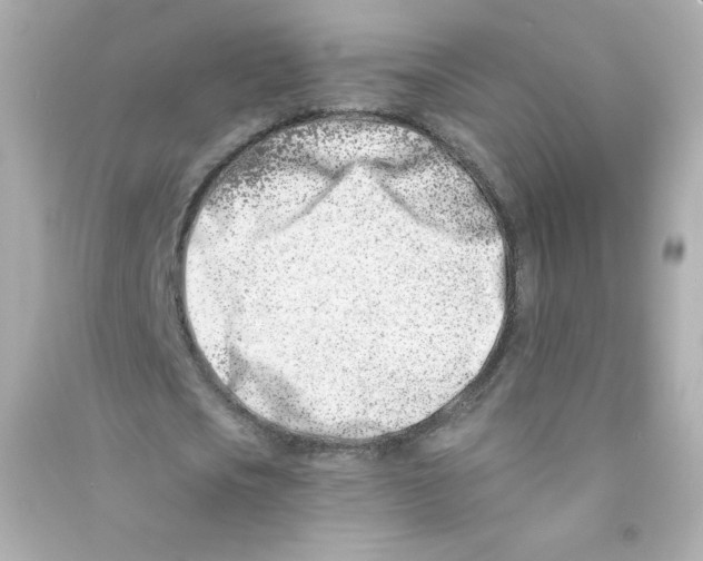 X0000090420721200708101941