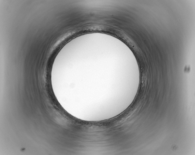 X0000090420722200708101941