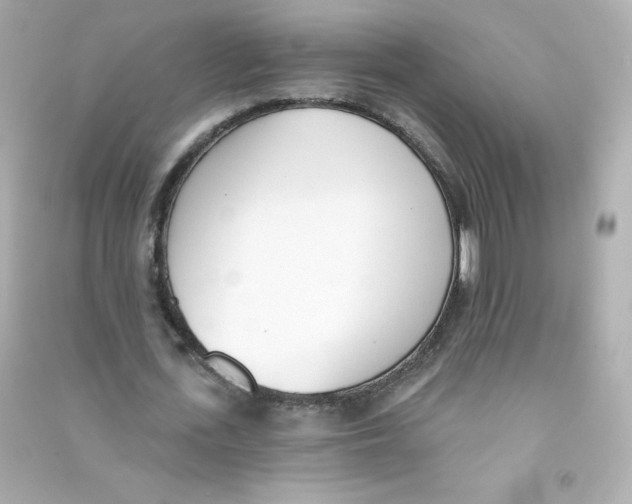 X0000090420723200708101941
