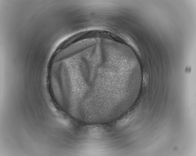 X0000090420724200708101941