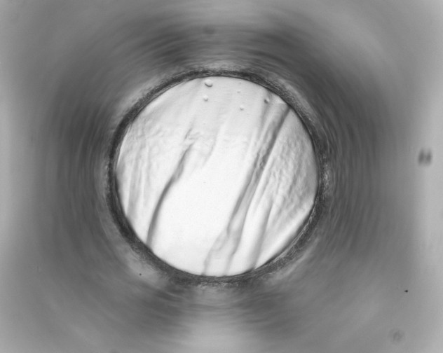 X0000090420725200708101941