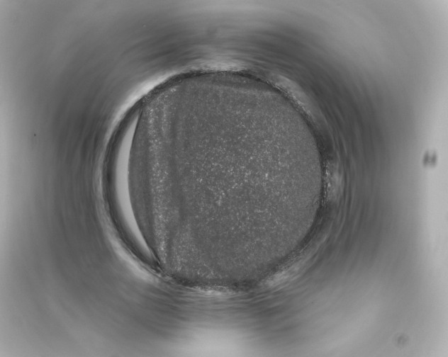 X0000090420726200708101941