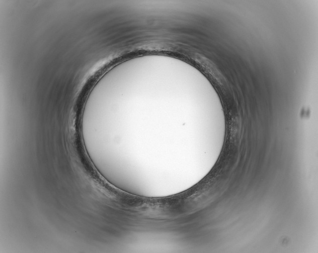 X0000090420727200708101941