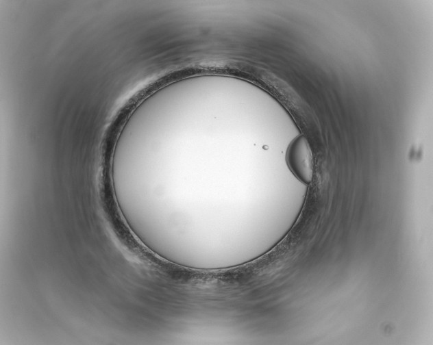 X0000090420728200708101941