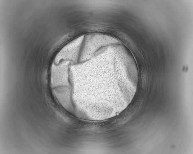 X0000090420729200708101941