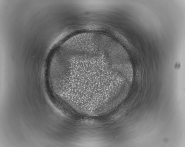 X0000090420730200708101941