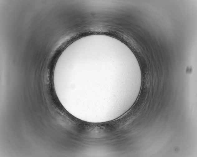 X0000090420731200708101942