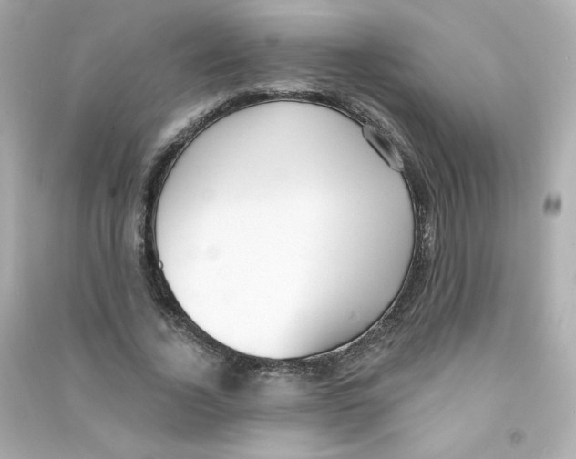 X0000090420732200708101942