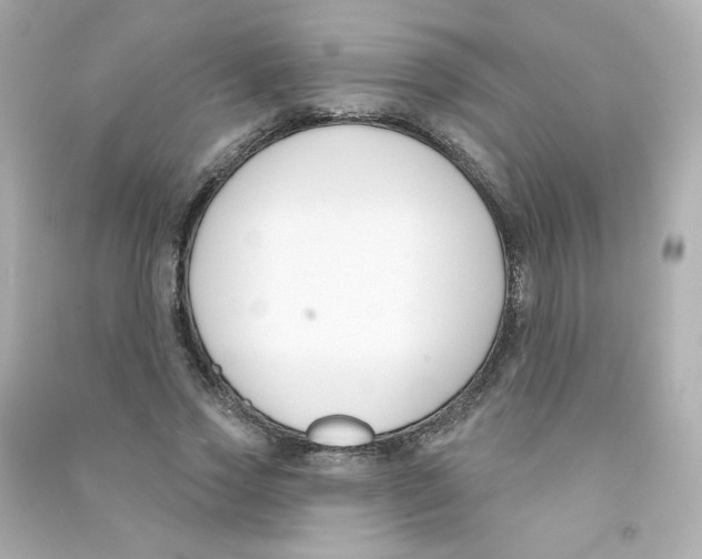X0000090420733200708101942