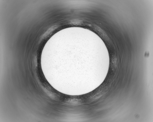 X0000090420734200708101942