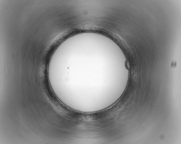 X0000090420735200708101942