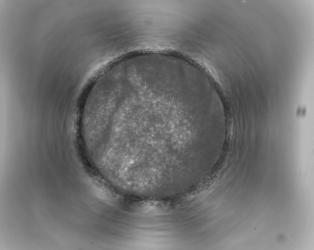 X0000090420736200708101942