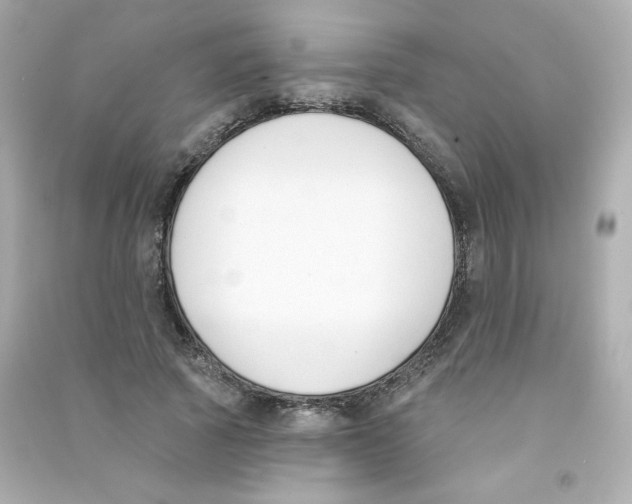 X0000090420737200708101942