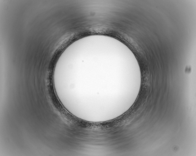 X0000090420738200708101942