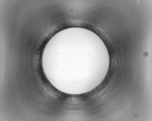 X0000090420739200708101942