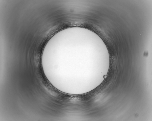 X0000090420741200708101942