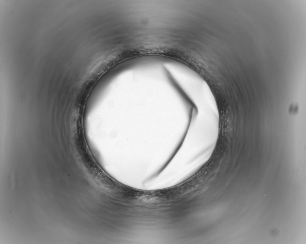 X0000090420742200708101942