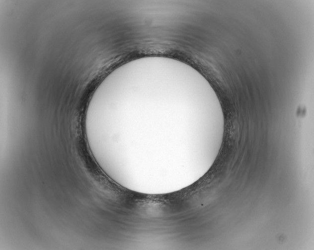X0000090420743200708101942