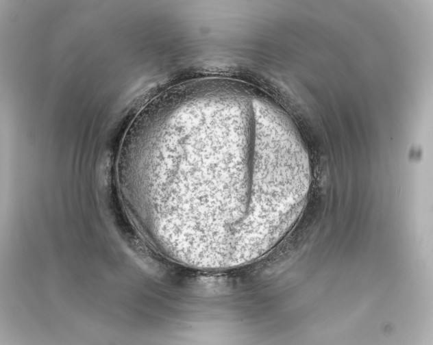 X0000090420744200708101942