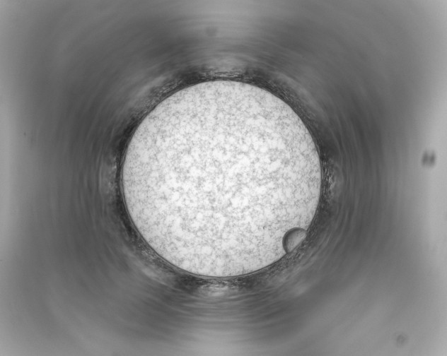 X0000090420745200708101942