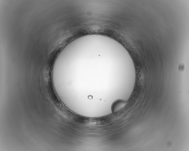 X0000090420746200708101942