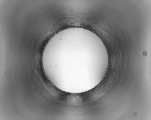 X0000090420747200708101942
