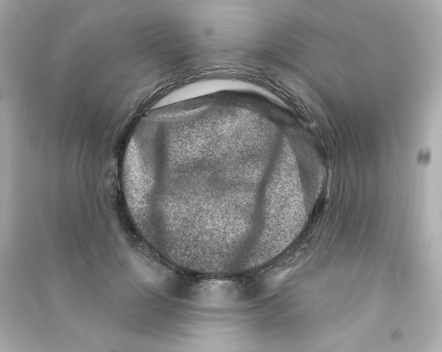 X0000090420748200708101942