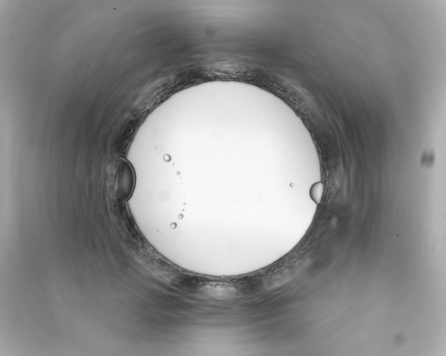 X0000090420749200708101942