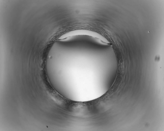 X0000090420750200708101942