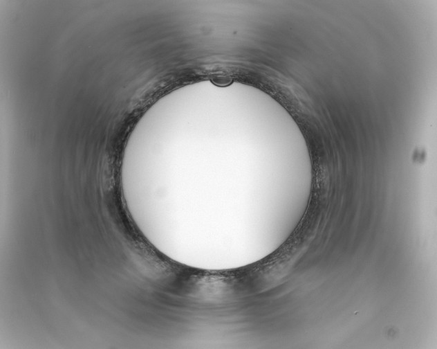 X0000090420751200708101942