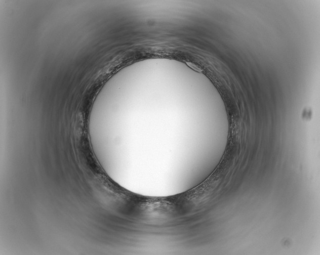 X0000090420752200708101942
