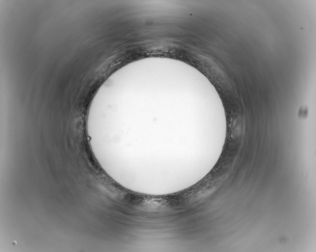 X0000090420753200708101942