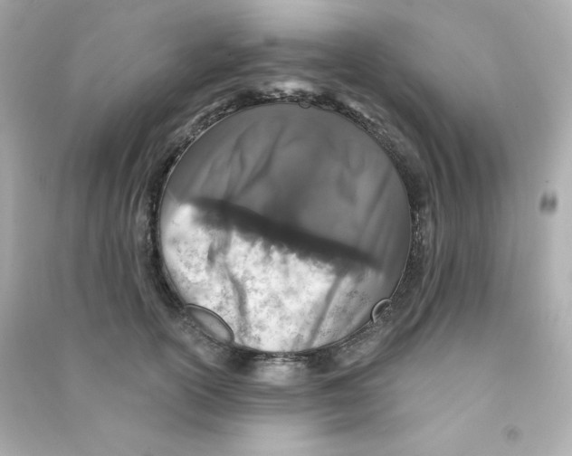 X0000090420754200708101942