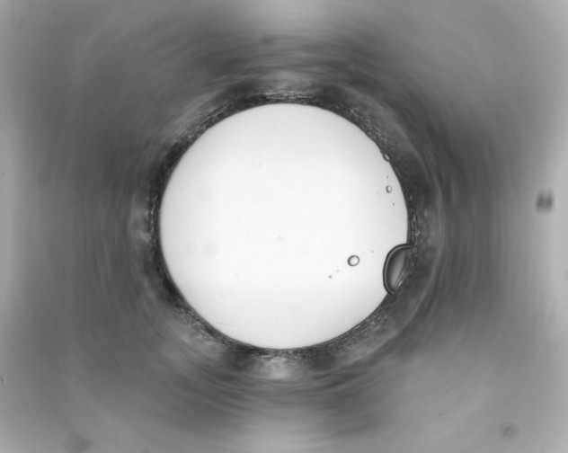 X0000090420755200708101942