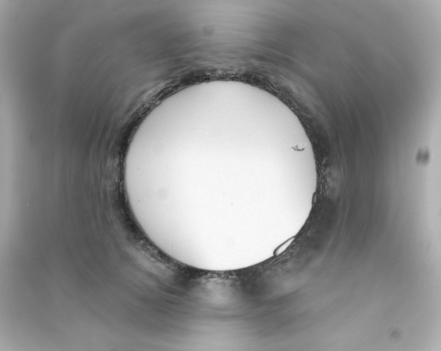 X0000090420756200708101942