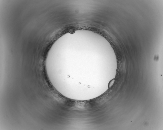X0000090420757200708101942