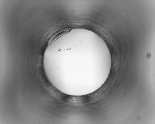 X0000090420758200708101942