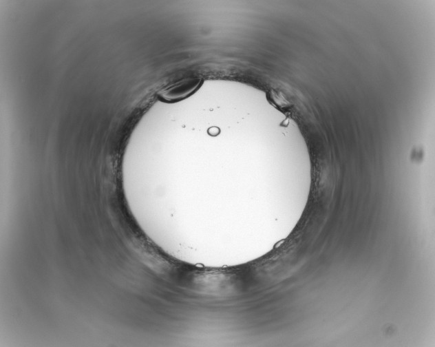 X0000090420759200708101942