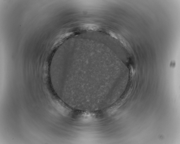 X0000090420760200708101942