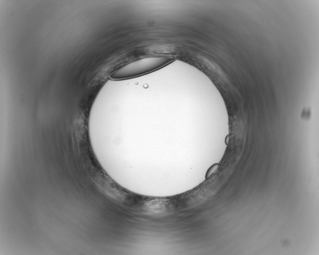 X0000090420761200708101942