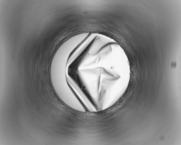 X0000090420762200708101942