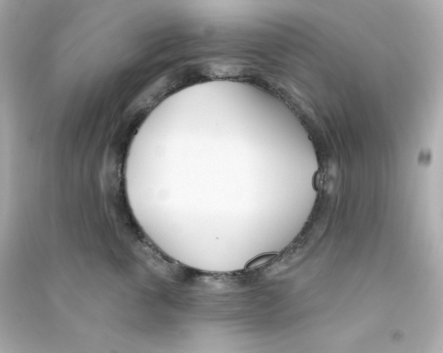 X0000090420763200708101942