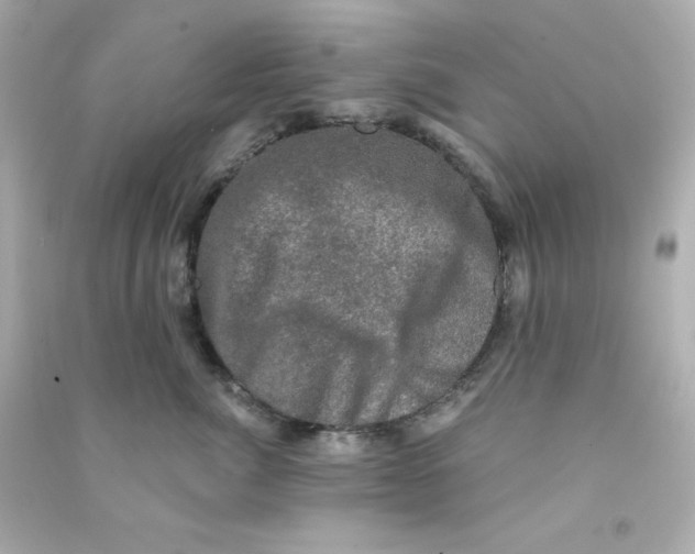 X0000090420764200708101942