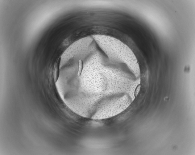 X0000090420765200708101942