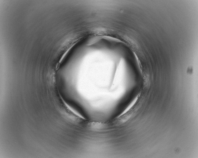 X0000090420766200708101942