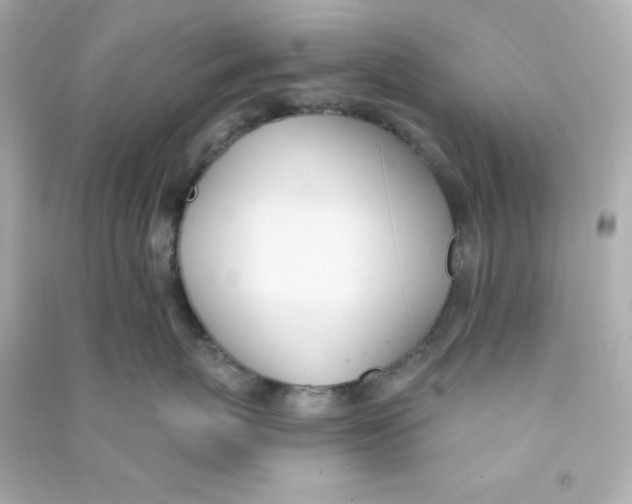 X0000090420767200708101942