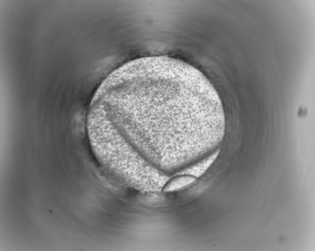 X0000090420768200708101942