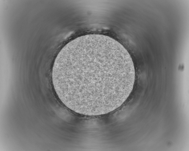 X0000090420769200708101941